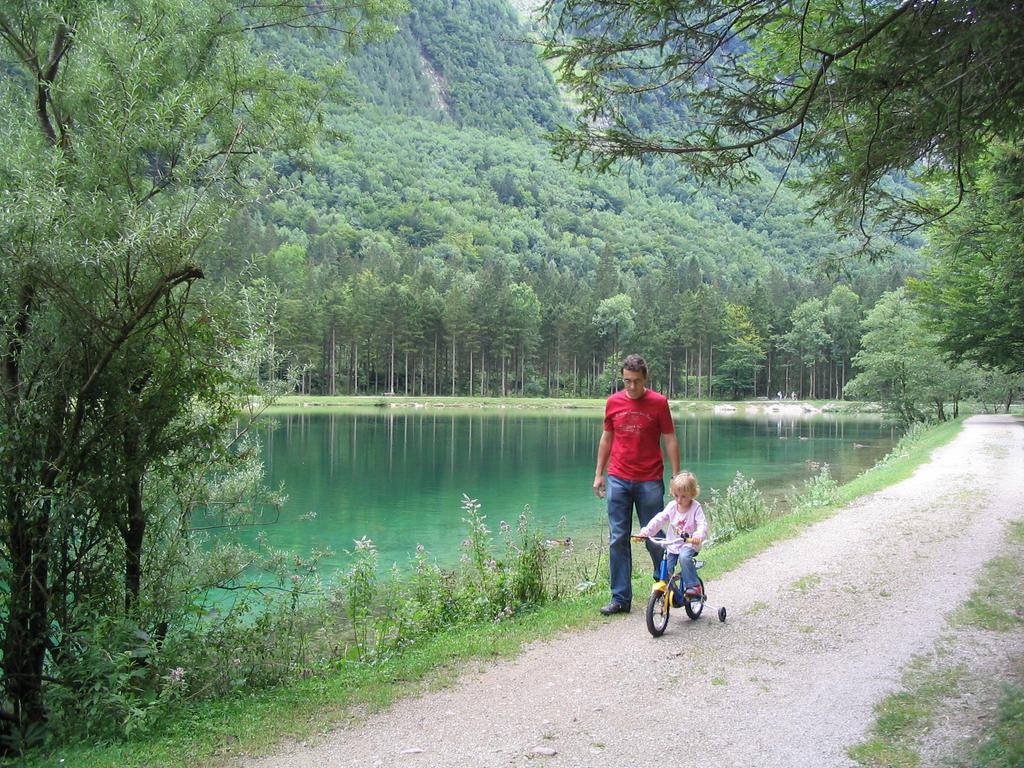 Apartmenthaus Oberlehen * Abtenau